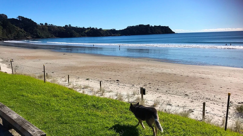 Pipi on Onetangi Beach