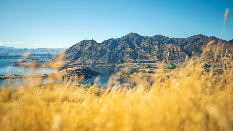 Rocky Mountain views across Lake Wanaka to the mountains2