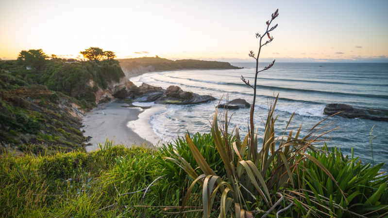 Rolling waves and coastal views