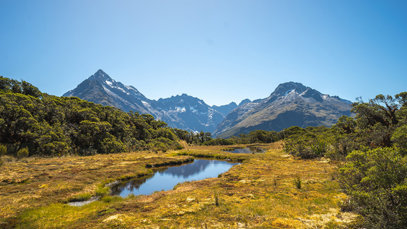 Routeburn Track Key Summit reflections