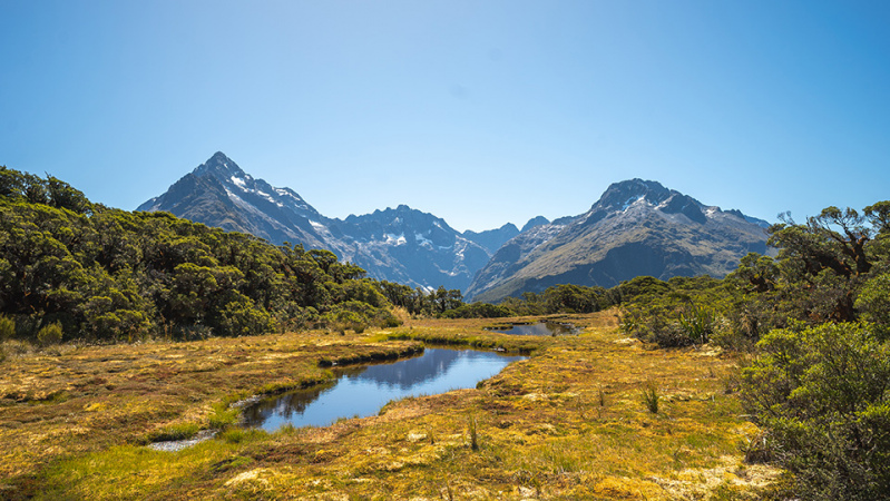 Routeburn Track reflections at Key Summit.