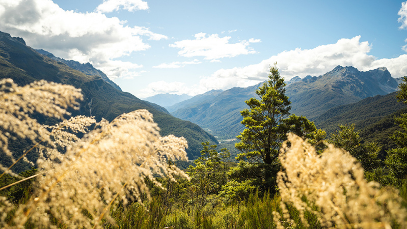 Routeburn Track views from Key Summit over the routeburn valley