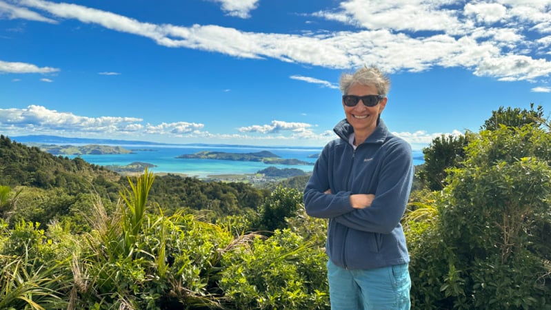 Coromandel coastal views