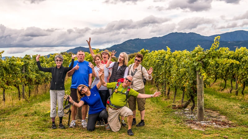 Guests at Marlborough vineyards