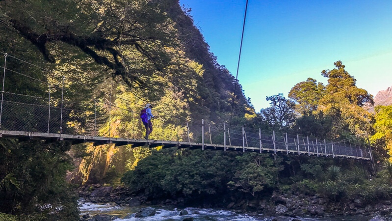 The Hollyford Track is one of the best walks in NZ