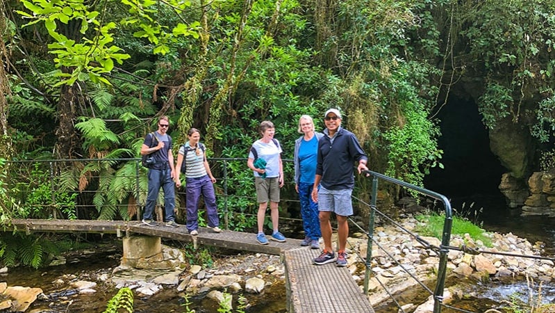 Kepler Track forest