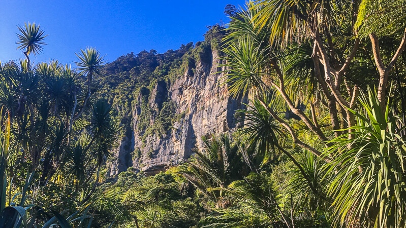 Great Walks New Zealand, Paparoa National Park, West Coast