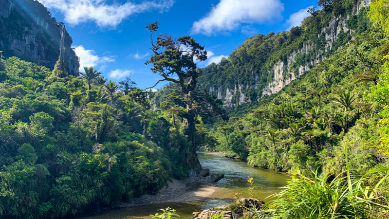 paparoa track