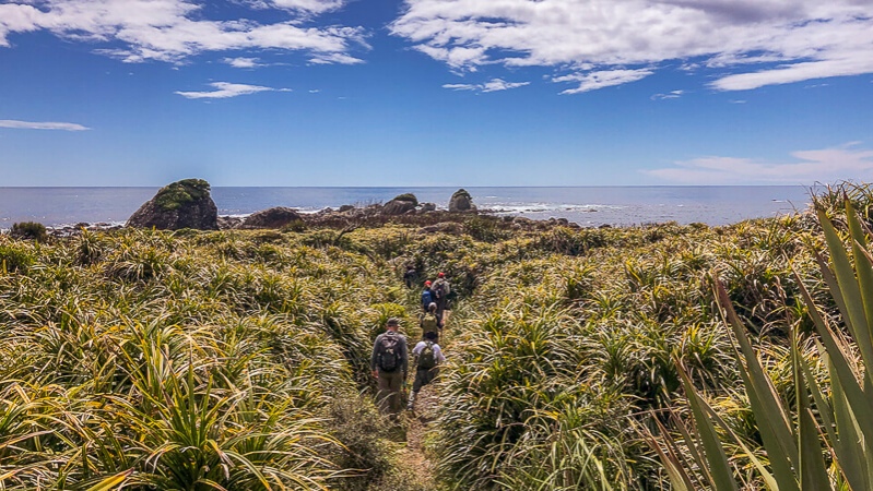 Walking Martins Bay, Fiordland