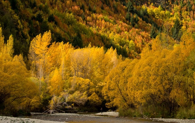 arrowtown autumn 1