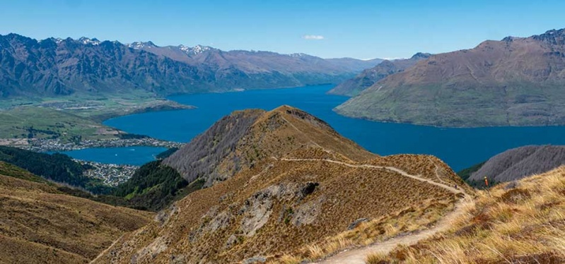 ben lomond queenstown hike4