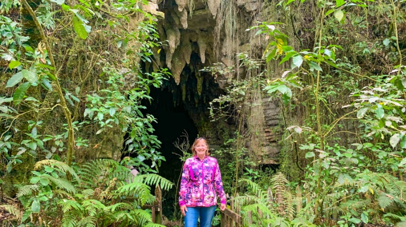 Explore the glowworms New Zealand