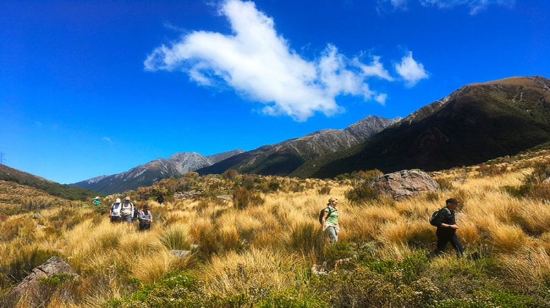 Hiking in Arthurs Pass