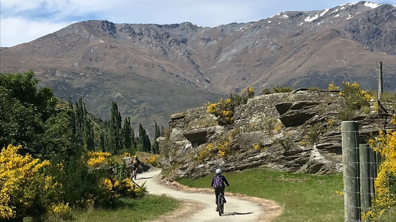 Biking Queenstown Trail