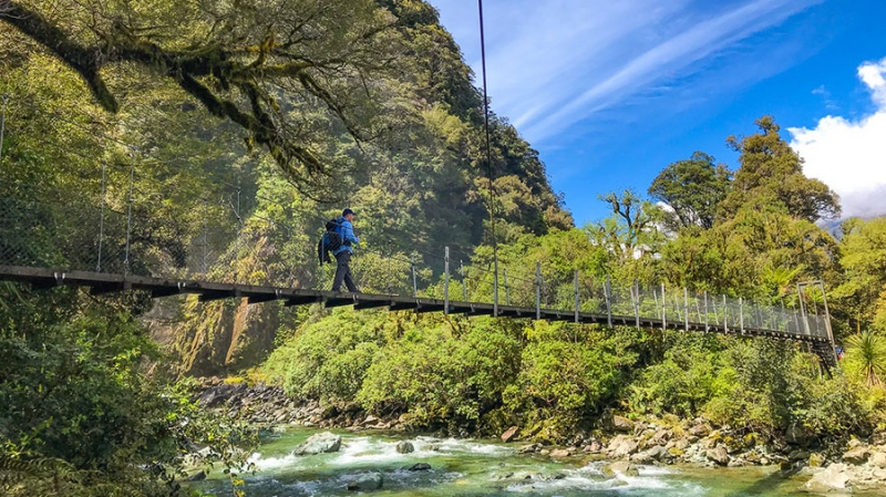 Hollyford Track