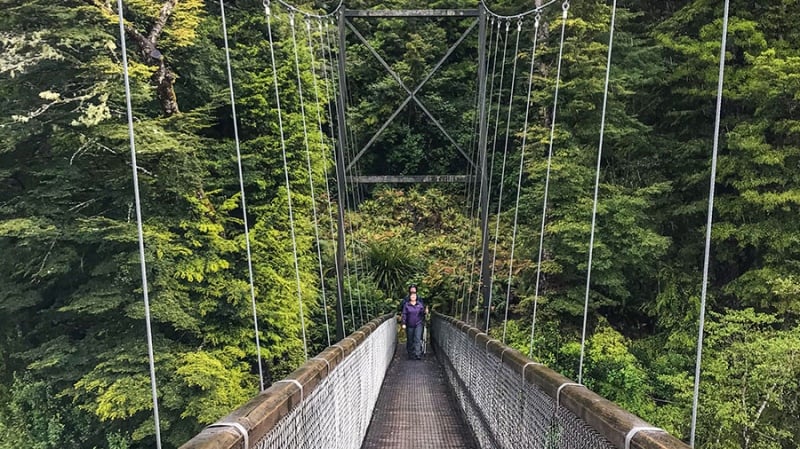 Waiau River footbridge along the Kepler Track