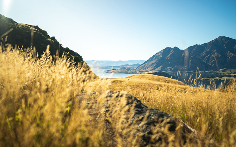 Rocky Mountain Summer views across Lake Wanaka