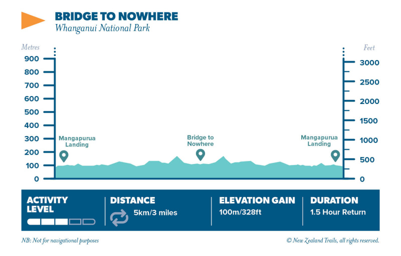 Bridge to Nowhere8