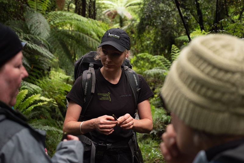 Hollyford Track guide