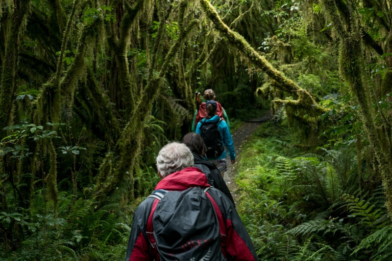 Milford Track weather