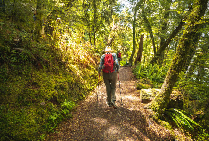 Solo Routeburn Hiker