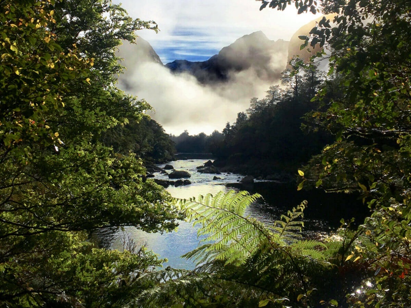 Prepare for all weather Milford Track