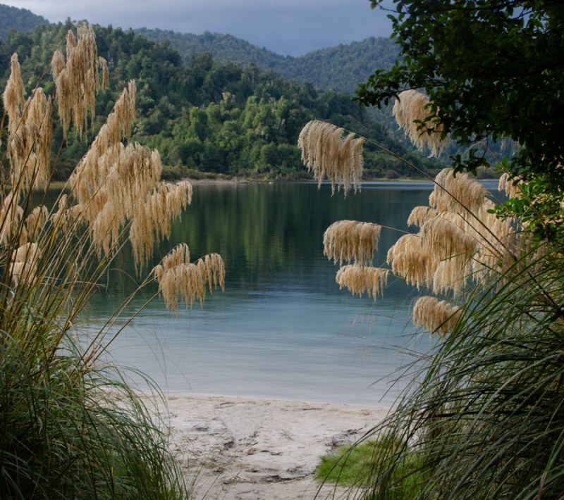 Lake Waikaremoana Photo 3