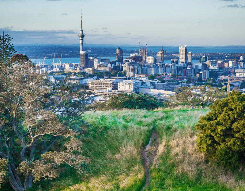 Auckland City from Mt Eden