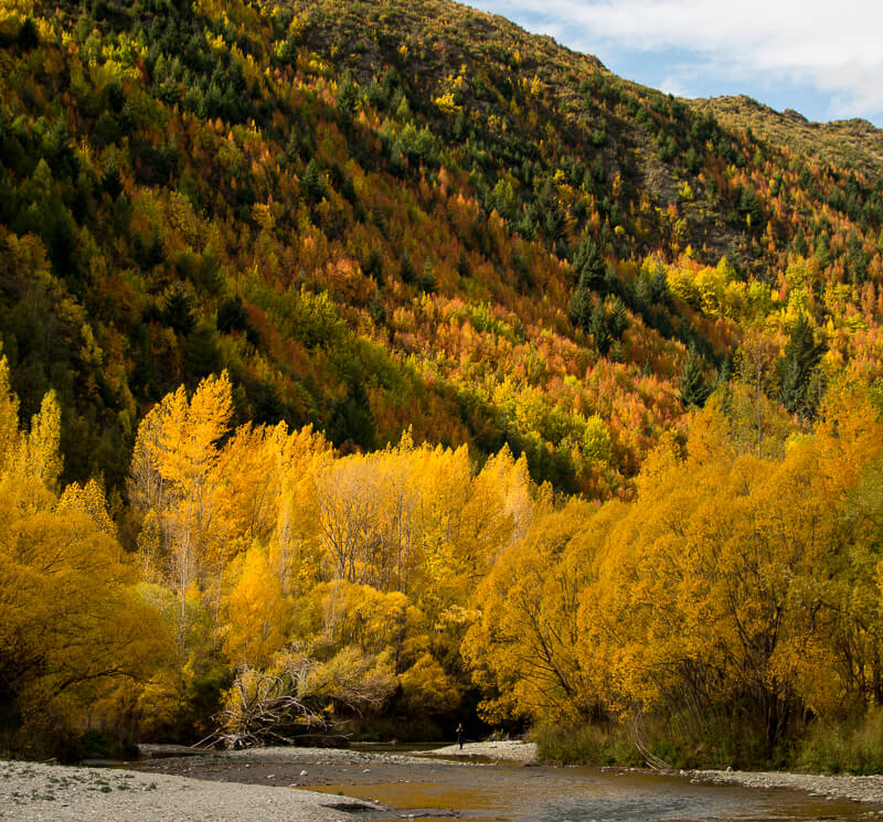 Autumn in Arrowtown, Otago New Zealand