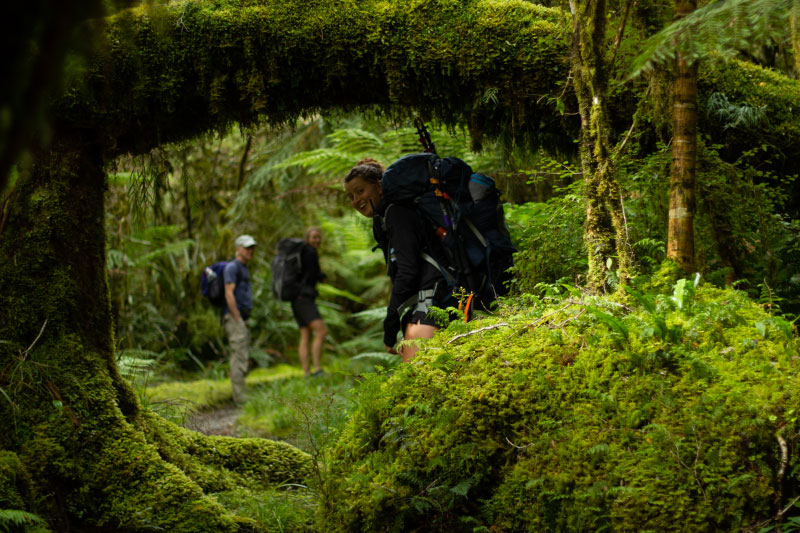 Hollyford Track, New Zealand