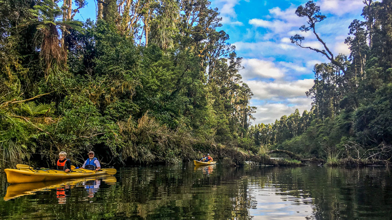 kayaking okarito lagoon new zealand2