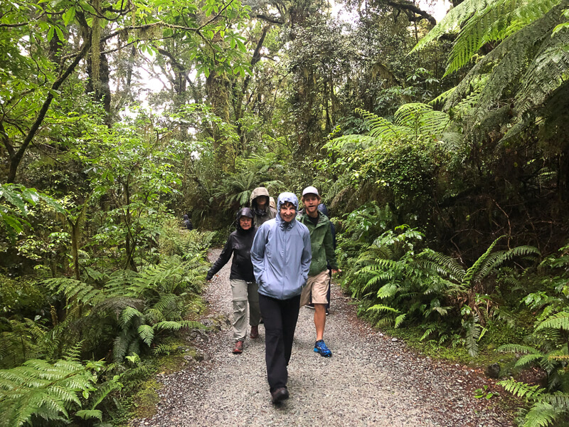 Packing for New Zealand to keep dry on hikes