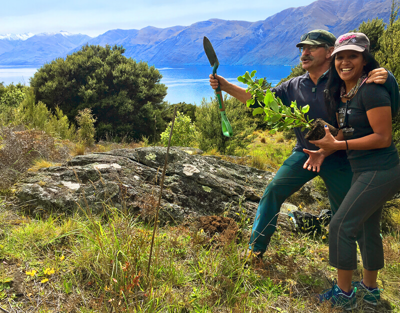 Mou Waho Island planting, Lake Wanaka