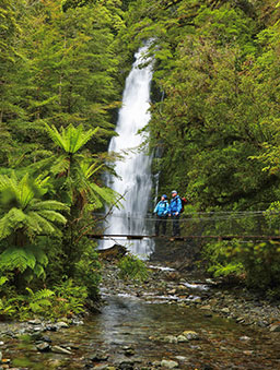 new zealand great walk adventure