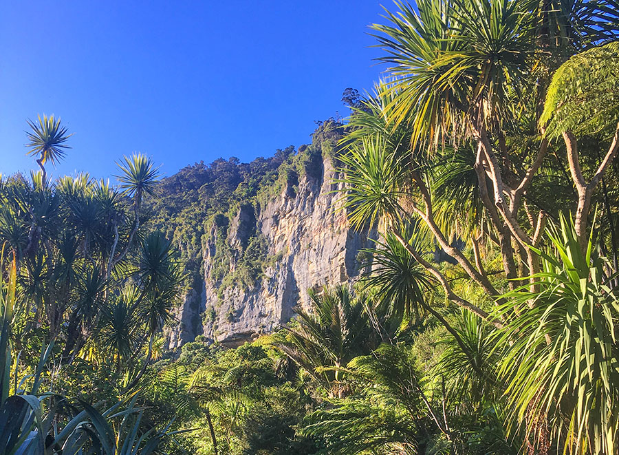 Pororari Loop Track, Paparoa New Zealand