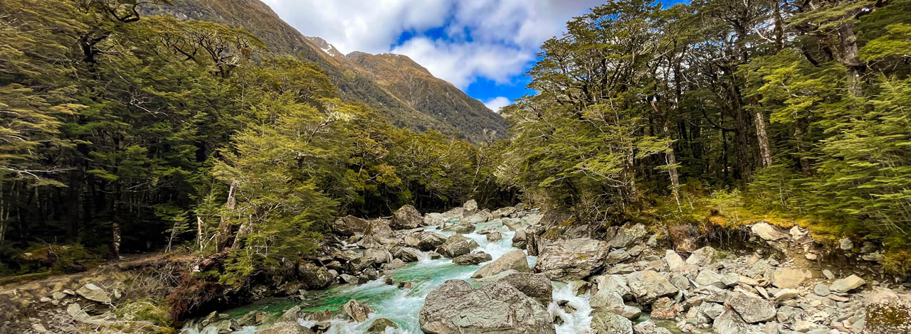 routeburn track river hiking