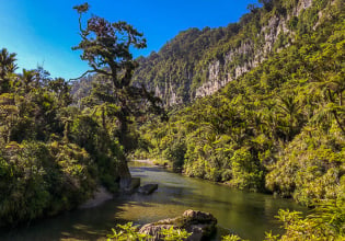 Paparoa National Park