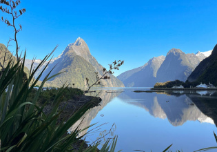 milford sound cruise adventure