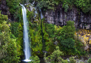 Dawson Falls Taranaki