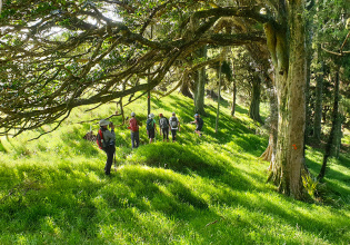 Guests on Matahuru Valley Walk