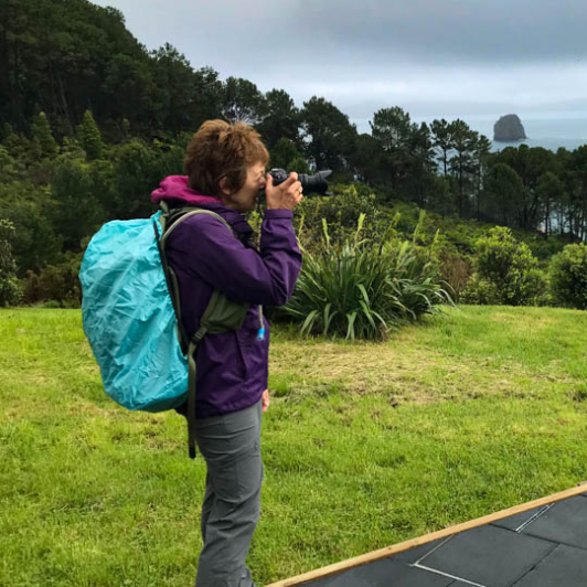 1 North Island coast line