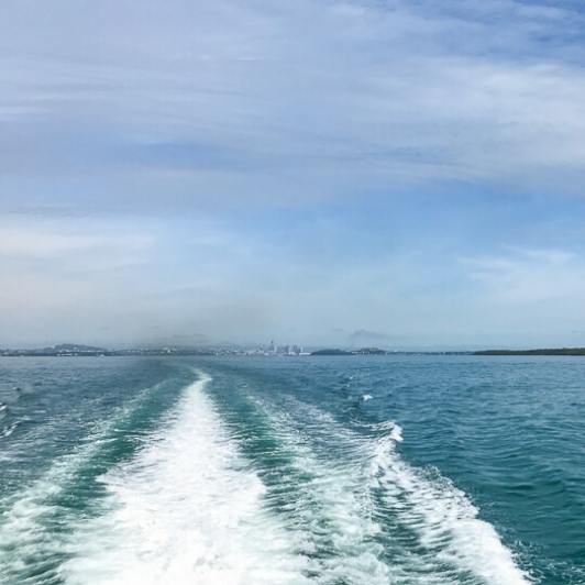 Cruise from Auckland to Waiheke Island, New Zealand