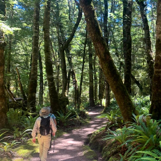 Guests walking on the Kepler Track 60126