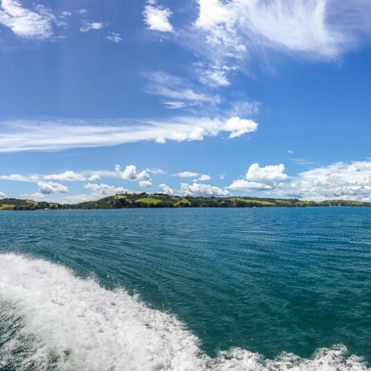 Cruise in Auckland, New Zealand