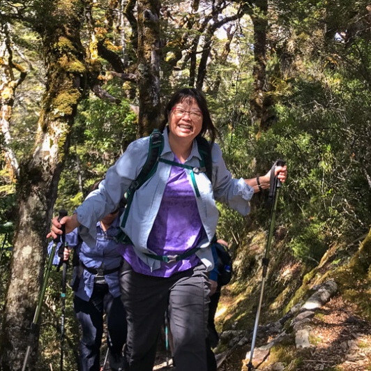 Walking the Arthurs Pass National Park, Canterbury New Zealand