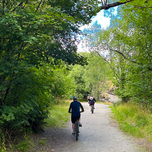 Bike tour in Arrowtown