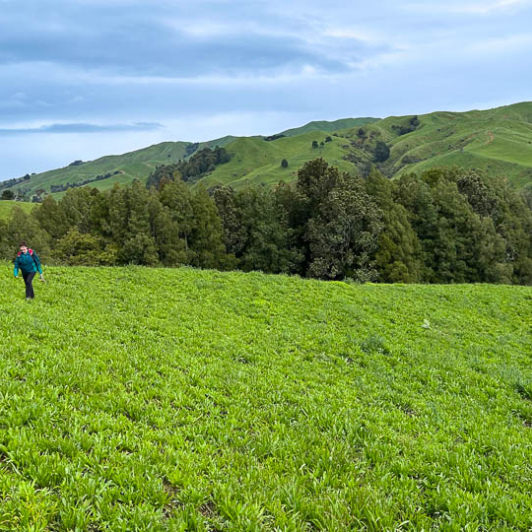 Exploring Matahuru Valley 