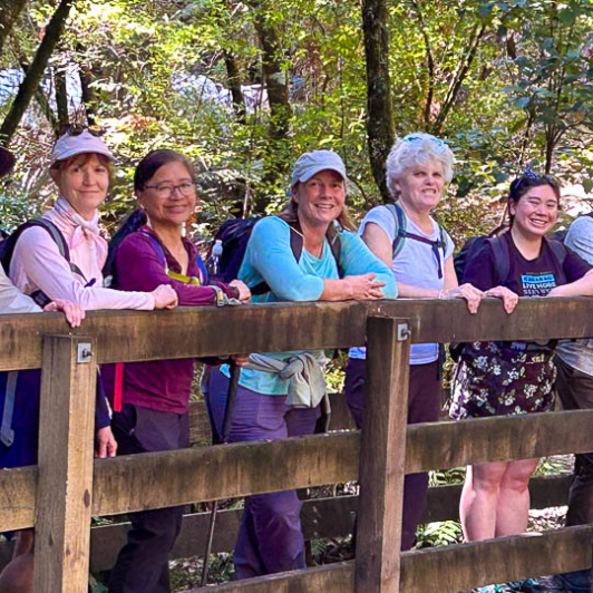 Waiomu Kauri Grove hiking tours 2