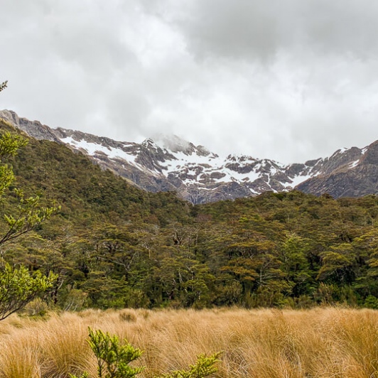 at Arthurs Pass National Park, Canterbury New Zealand