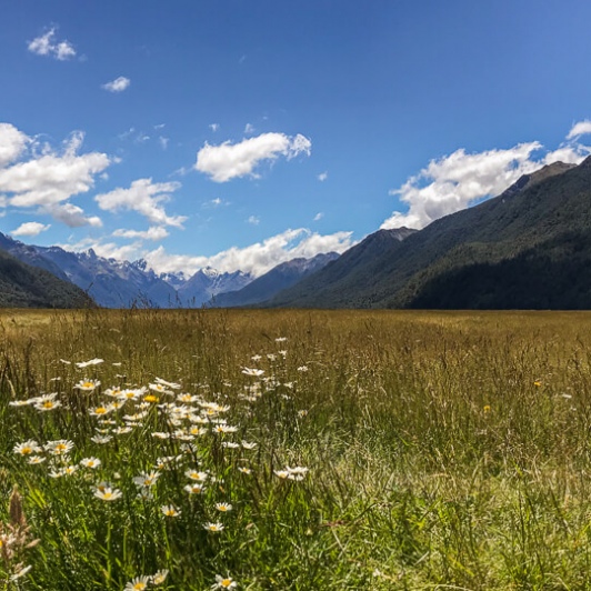 Eglinton Valley, Fiordland New Zealand